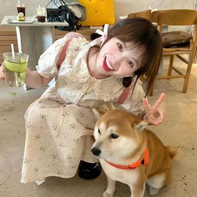 樱花革命:花开时的少女们